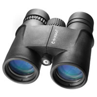 AB10570-8x42WPH